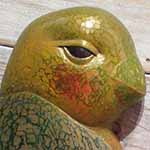 南国Week End インコ